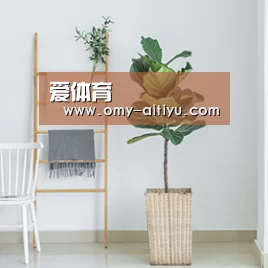 产品名称六(图1)
