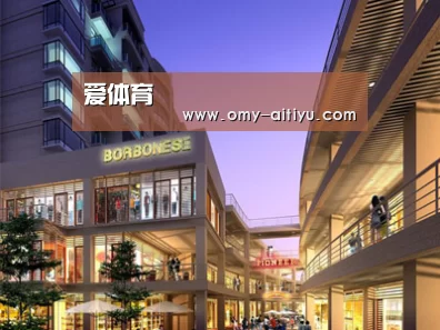 展示一(图1)