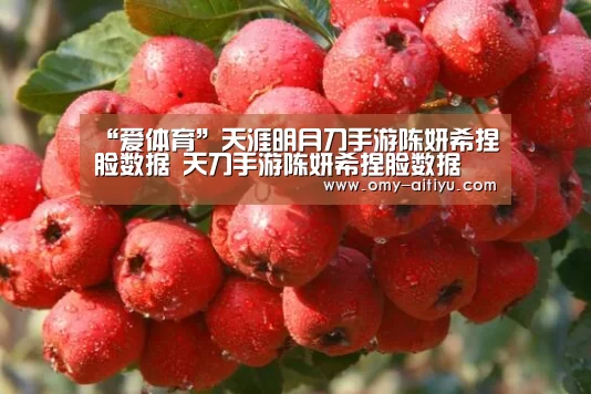 “爱体育”天涯明月刀手游陈妍希捏脸数据 天刀手游陈妍希捏脸数