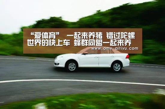 “爱体育”
一起来养猪 错过陀螺世界的快上车 蜂群同盟一起来