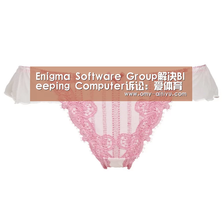Enigma Software Group解决Bleepin