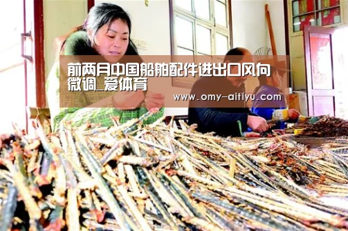 前两月中国船舶配件进出口风向微调_爱体育