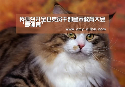 我县召开全县党员干部警示教育大会‘爱体育’