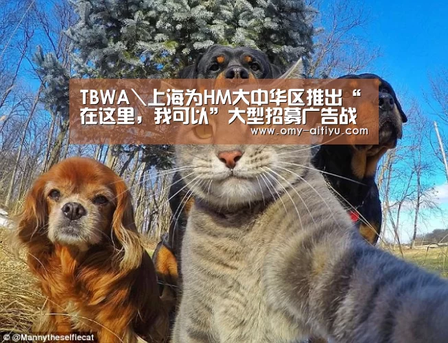 爱体育