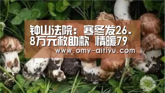 钟山法院：寒冬发26.8万元救助款 情暖79位申请执行人【爱