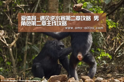 爱体育